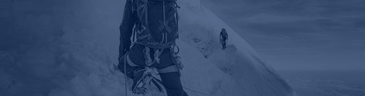 Biobridge Foundation - Newsletter