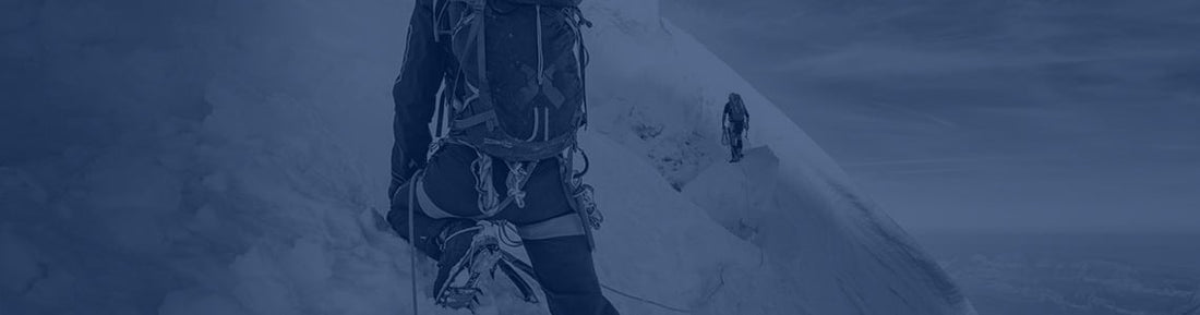 Biobridge Foundation - Newsletter